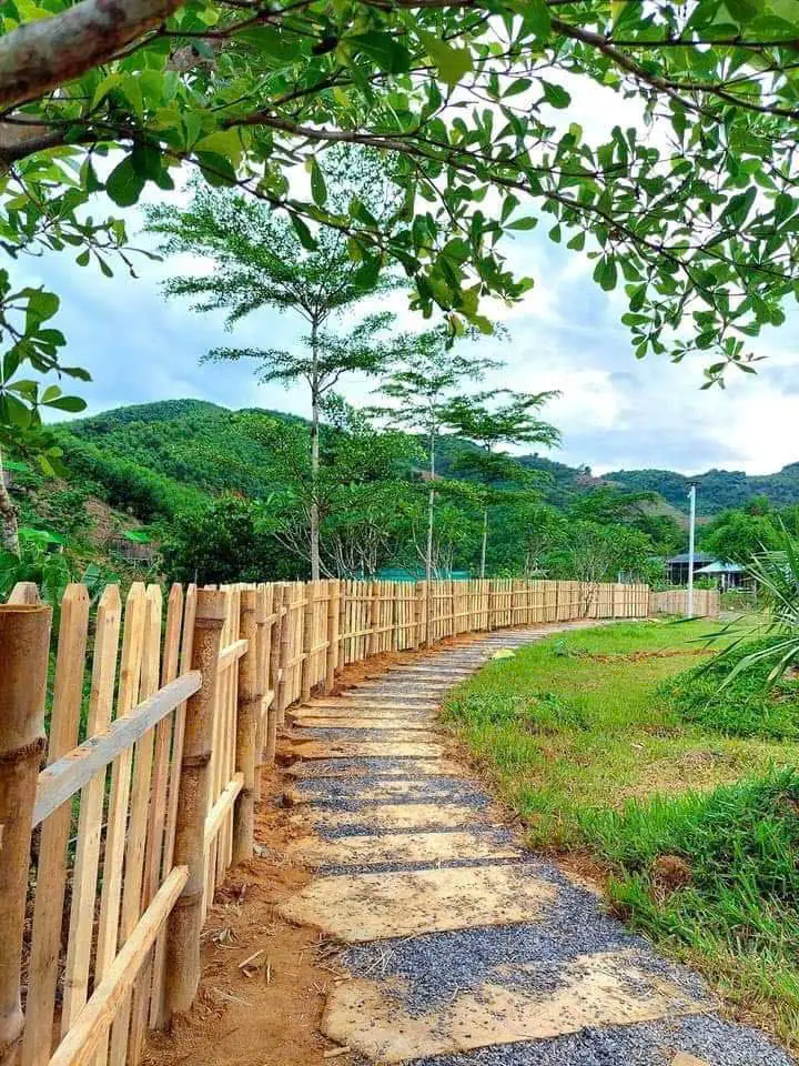 Lối đá cạnh hàng rào tre, đồi xanh và mây trắng phía xa