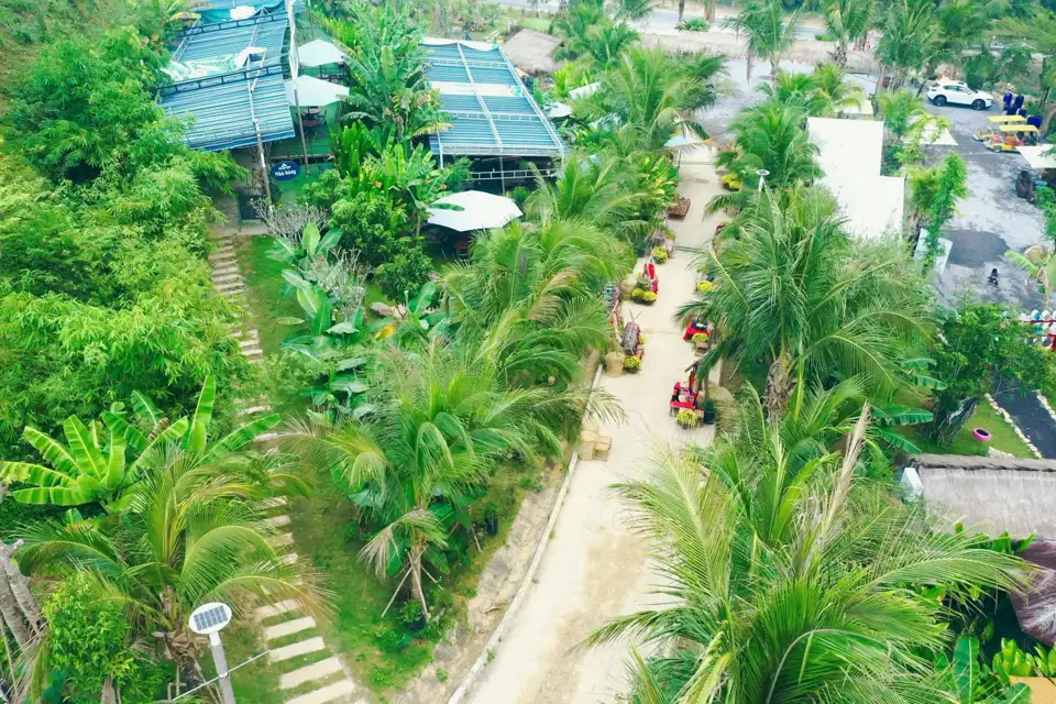 Nhà hàng dưới tán dừa và xe điện